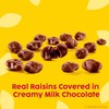 Raisinets Milk Chocolate Covered Raisins, Gluten-free California Chocolate Raisins, Resealable
