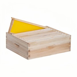 POLLIBEE 10 Frame Super Bee Hive Box, Langstoth Honey Super Bee Box for Beekeeper,Include Beehive Frames and Wax Foundations (unassembled)