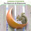 Fence & Tree Mounted Moon Bird Feeder – Cardinal, Squirrel