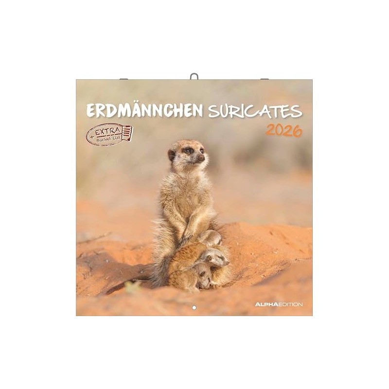 Alpha Edition - Erdmännchen 2026 Broschürenkalender, 30x30cm, Wandkalender mit Platz