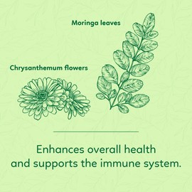 Indochine Blends - Moringa Tea Bags, 50 Teabags, 2g/bag - Individually Wrapped Envelopes, Caffeine-Free, No Sugar - Four Flavors Mix Herbal Tea - Dried Moringa Leaves, Red Rice, Chrysanthemum, Stevia - Promote Immunity & Support Mindfulness