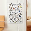 Where's Wildlife Backyard Birds of Wisconsin Bird Identification Poster (12"