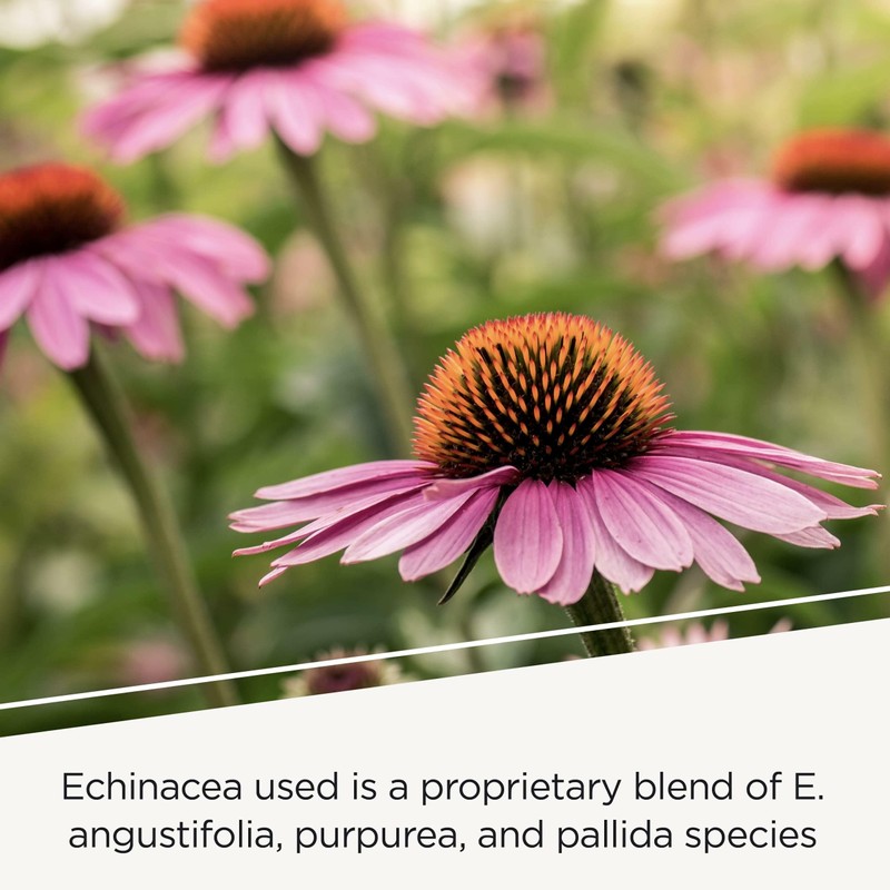 Integrative Therapeutics EHB - Immune Support Supplement with Vitamins A,