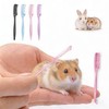 4-Pack Hamster Grooming Combs and Small Pet Hair Brushes for