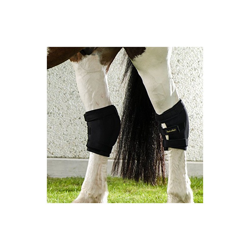 Back On Track Hock Boot - Right - Large