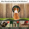 LZWUNYXE Dog Fence Window 12.4 Inch Clear Pet Peek Window