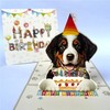 Crazytops Bernese Mountain Dog Birthday Card, Pop-Up, 6 x 6