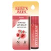 Mentholatum Lip Ice Tinted Color Lip Balm Red 2g 2pcs / 멘소래담 립아이스 틴티드 컬러 립밤 레드 2g 2개