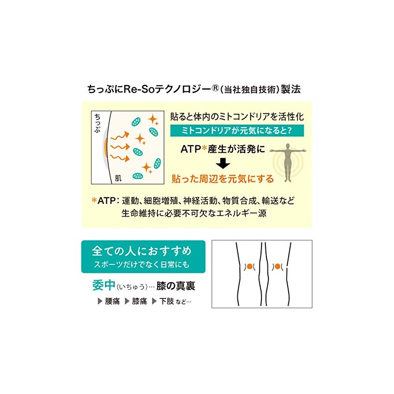 リ・ソビーム ちっぷ 永久使用タイプ ６粒 スポーツケア_060