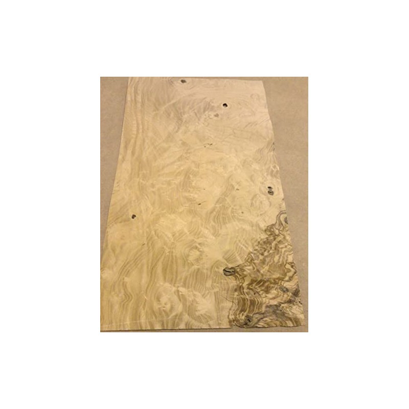 Olive Ash Burl Wood Veneer 7" x 12" raw with