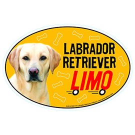 Lab Retriever (Yellow) Car Magnets: Lab Retriever (Yellow) Limo on Board - Oval 6" x 4" Auto/ Truck/ Refrigerator/ Mailbox (Funny Car Decals, Dog Magnet, Lab Retriever (Yellow)