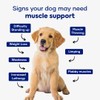 Aniwell Muscle & Vitality Formula for Dogs with Ashwagandha, Shilajit,