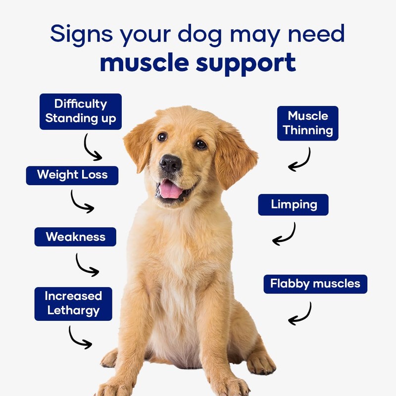 Aniwell Muscle & Vitality Formula for Dogs with Ashwagandha, Shilajit,