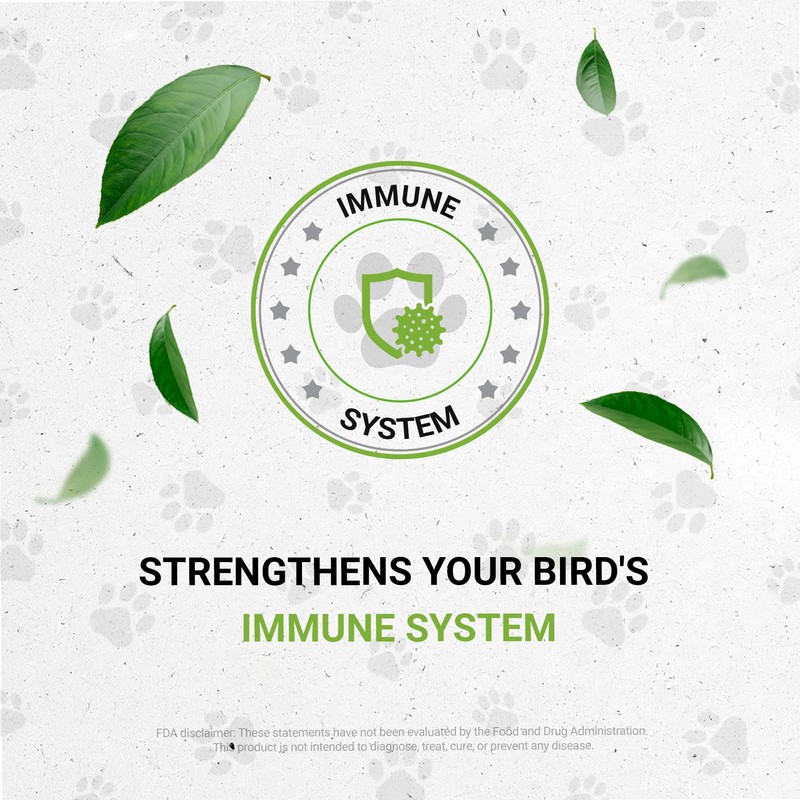 Birds Immunity | Natural Herbal Dietary Pet Supplement for Birds