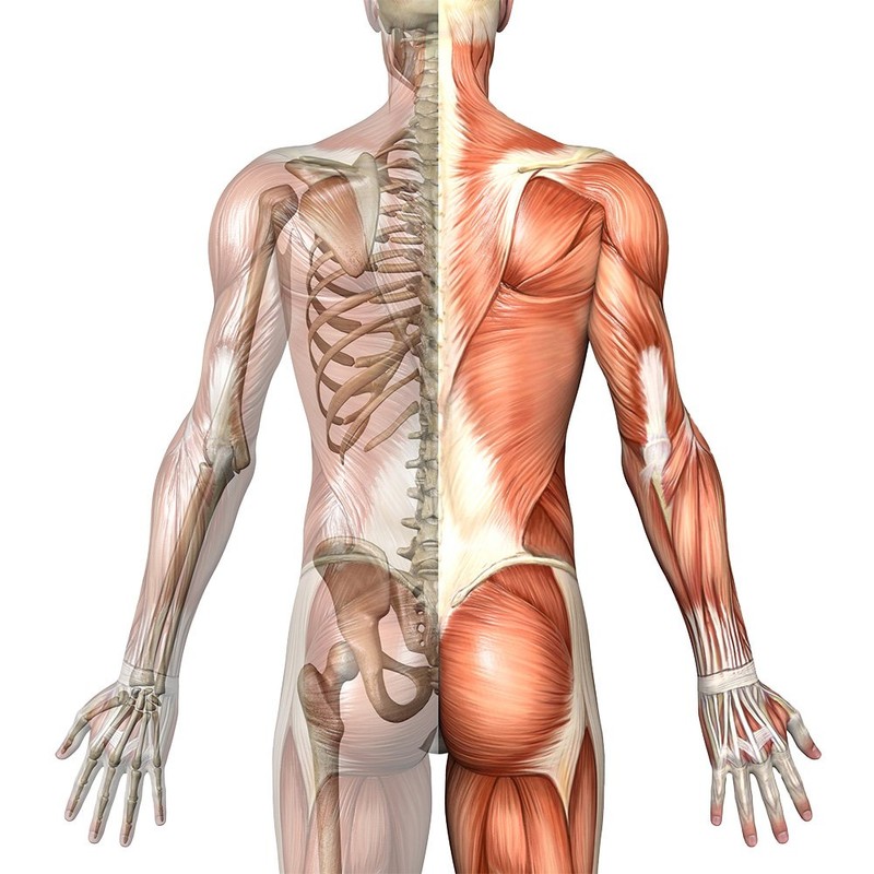 Greenfood - Vitamin D3-1000 iE - High Dose - 180