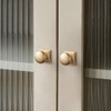 Goo-Ki Champagne Bronze Zinc Alloy Cabinet Knob with Backplate -