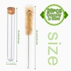 HNYYZL 25Pcs Clear Plastic Test Tubes with Cork Stoppers and