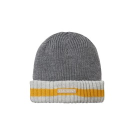 SealSkinz Holkham Unisex Beanie Hat - Waterproof Cold Weather Striped Roll Cuff Beanie