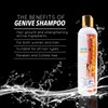 Genive Hair Sulfate Free Shampoo, Size 9.35OZ