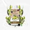 Chloe Tulipan : Body Lotion Mediterranean Olive Oil 400 ml