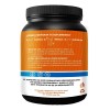 Óxido Nítrico Pre Entreno Promex 1kg 200 Servicios Sabores