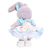 Teddy Bear Mail Order Alice Stellaroo Clothes Changing Costume with