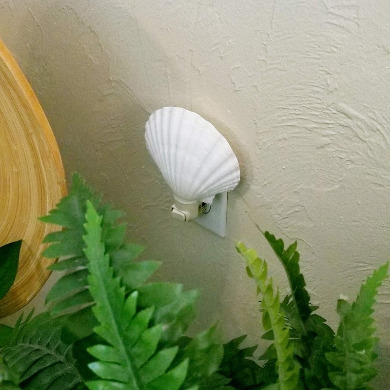 Tumbler Home Real Sea Shell Beach Night Light Real, Natural,