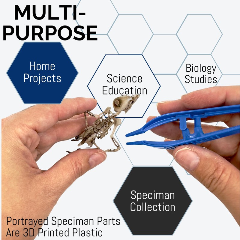 Eisco Labs - 5" Disposable Forceps - Precision Grip, Plastic