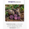 Wolto Market Partner Real Papiflora Black Ginger Extract Papiflora 100%