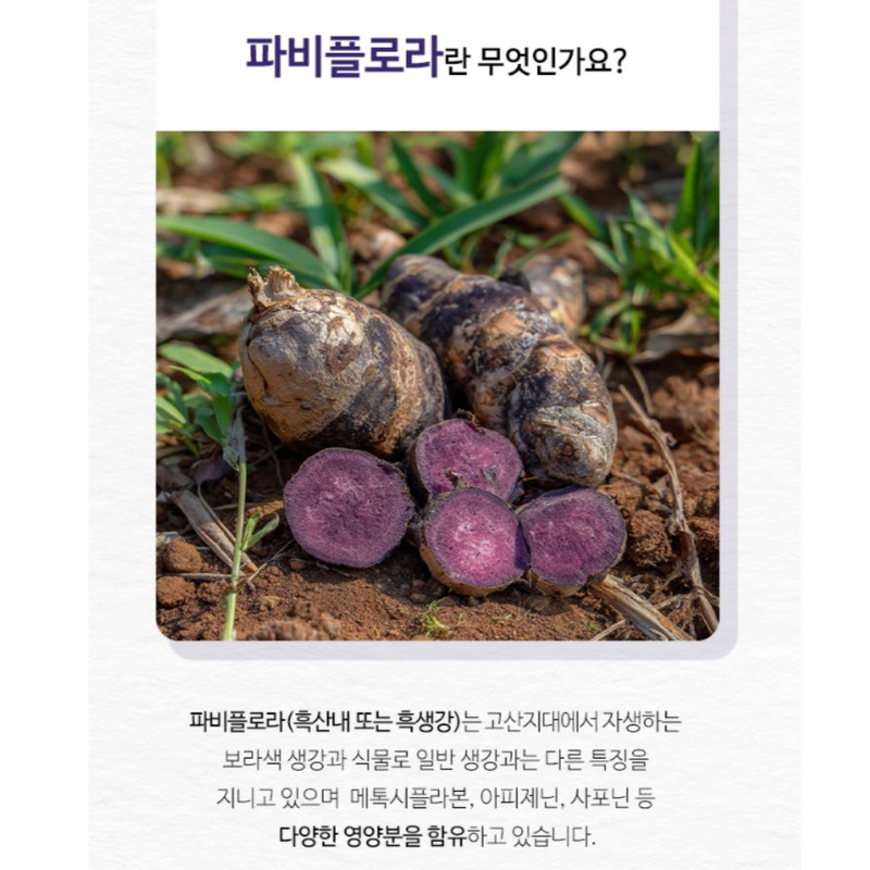 Wolto Market Partner Real Papiflora Black Ginger Extract Papiflora 100%