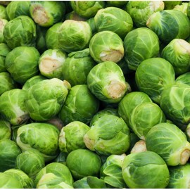 Catskill Brussel Sprout Seeds for Planting – Heirloom Non-GMO Brussel Sprout Seed Packets with Instructions to Plant & Grow for Home Outdoor Vegetable Garden – 2 Packets