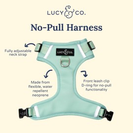 Lucy & Co. The Spring Green No-Pull Dog Harness – Size Small– Vest to Stop Pulling & Walk Easy – Comfortable Leash Training Product w/Adjustable Chest & Neck Straps