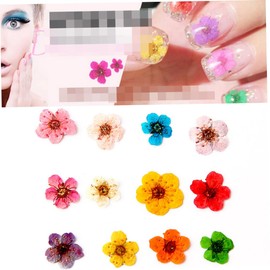Vaguelly Colorful Dried Flower Nail Art Accessories Petal Plum Blossom Stickers for Creative Manicure for Home Professional Use