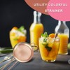 Small Strainer Set of 2, E-far 3.3 Inches Stainless Steel