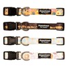 Downtown Pet Supply - Best & Fancy Dog Collar -