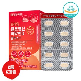 Iron Folic Acid Vitamin D Plus Ilyang 90 tablets 2 boxes / 철분 엽산 비타민d 플러스 일양 90정 2통