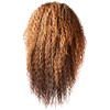 Freetress Equal Drawstring FullCap Wig MILAN GIRL (OP27)
