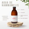 PANACEA: Kit Piel Mixta 30s con Tónico Hammamelis y Crema