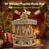 Playhiland 3D Wooden Puzzles for Adults - DIY Wooden Music