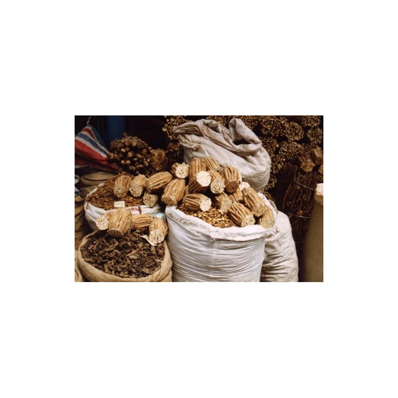 Dragon Herbs - Astragalus Root Drops - 2 fl oz