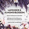 Air Wick Essential Mist, Essential Oil Diffuser Refill, Lavender &
