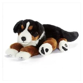 A-Nima Bouvier Bernois 42cmL