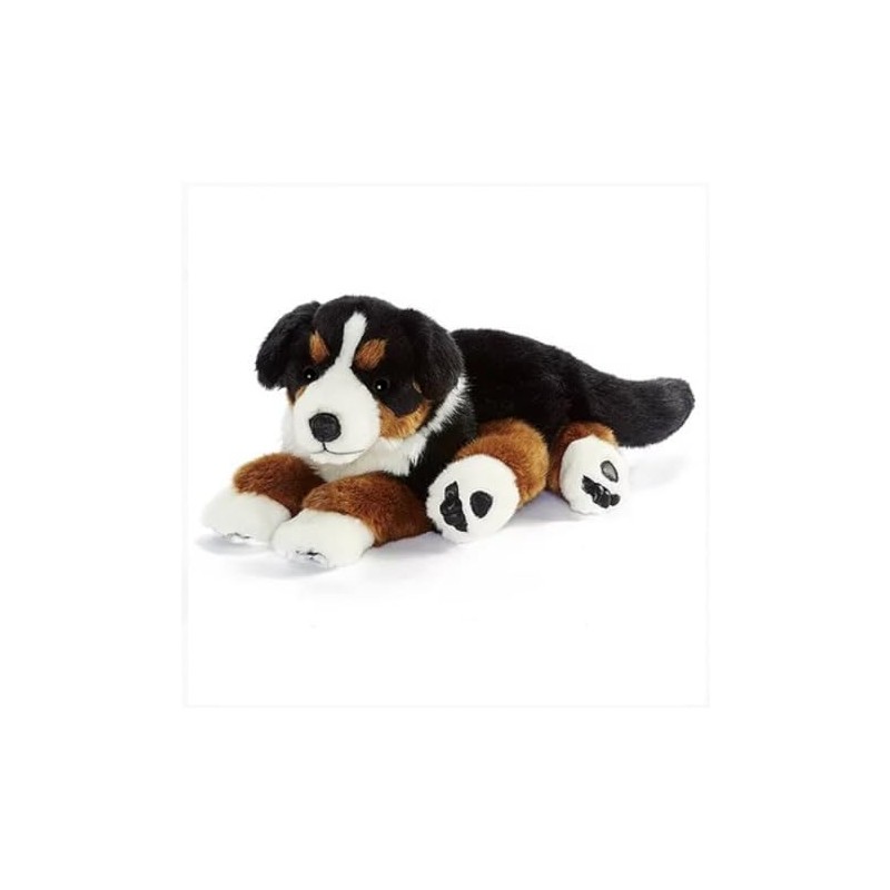 A-Nima Bouvier Bernois 42cmL