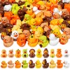 50 Pcs Thanksgiving Mini Ducks, 10 Styles Fall Ducks
