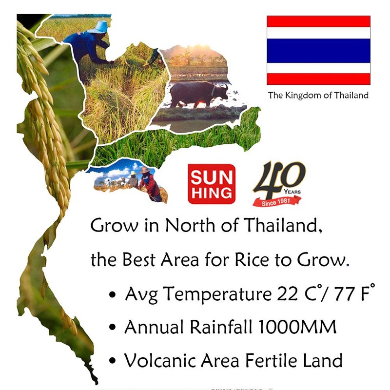 Parrot Premium Non GMO Jasmine Rice 5 lbs