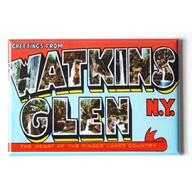Greetings from Watkins Glen New York Fridge Magnet (2 x 3 inches) Style B