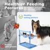 SHAINFUN Blue Raised Dog Bowl Stand with Two 1700ml Stainless
