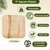 Dtocs Palm Leaf Plates Disposable 7" Square (50) | Compostable