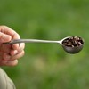 Titanium Spoon Coffee Spoon Suitable for Outdoor Camping Hiking Picnic