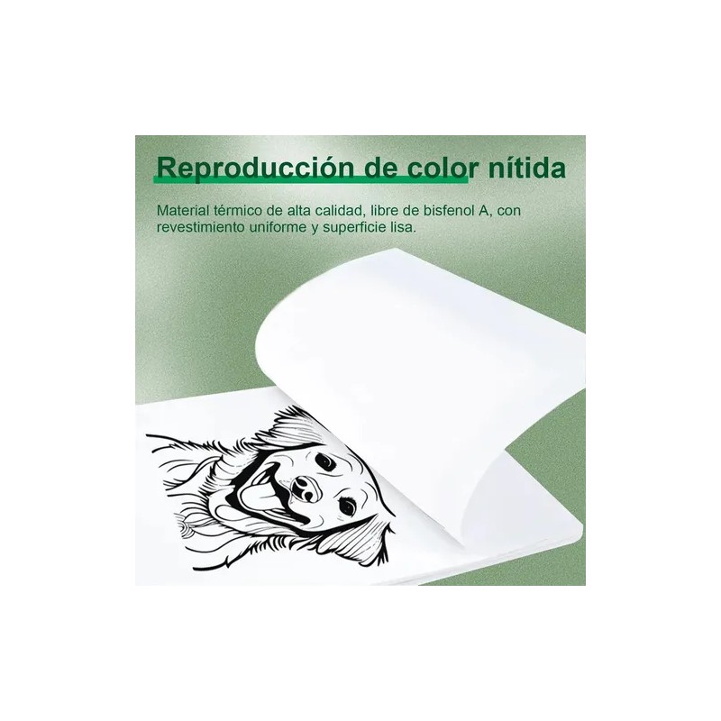 5 Rollos Papel Térmico A4 Papeles Para Impresora 210mm7.5m
